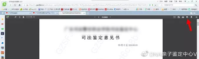 廣州司法鑒定10