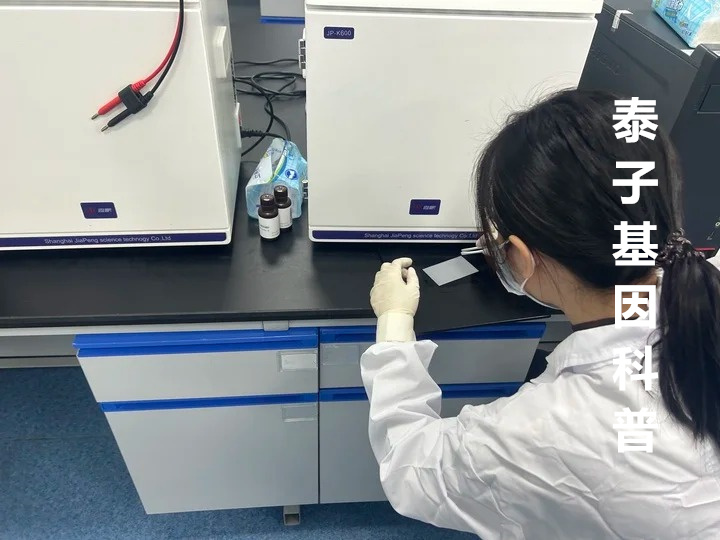 DNA鑒定確定身份