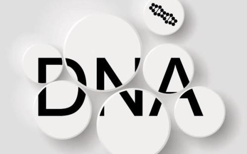 廣州做親子鑒定要多少錢