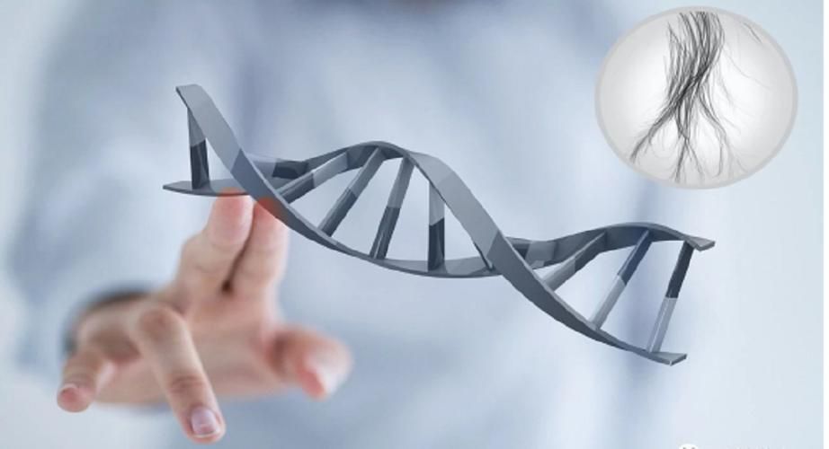 廣州DNA親子鑒定詳情1