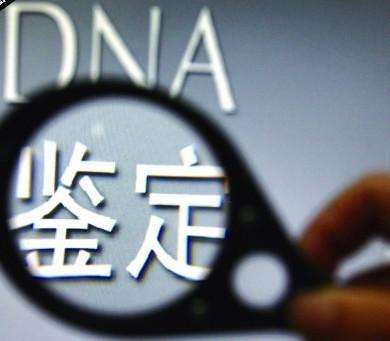 廣州隱私親子鑒定