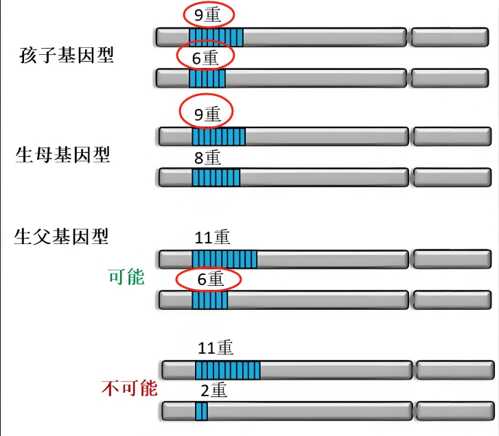 http://m.00haoka.cn/uploads/allimg/240629/1H33035S-1.png